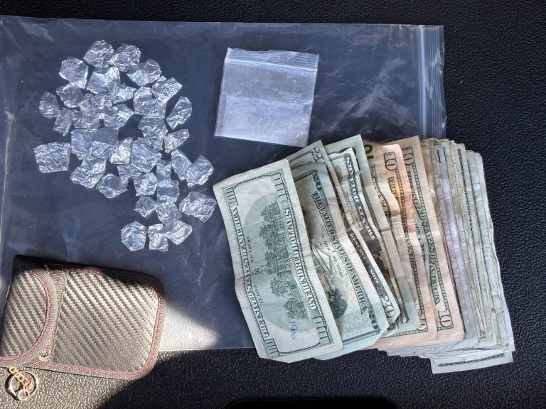 A collection of small plastic baggies containing suspected narcotics, a larger bag of white crystalline substance, and a stack of U.S. currency including hundred, twenty, and ten dollar bills.