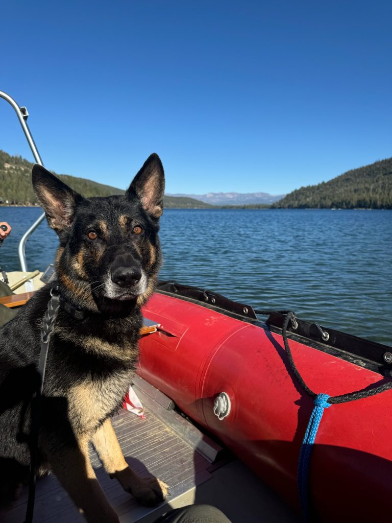 K9 Riggs, a German Shepherd, sitting on a red inflatable patrol boat on a lake with mountains in the background.