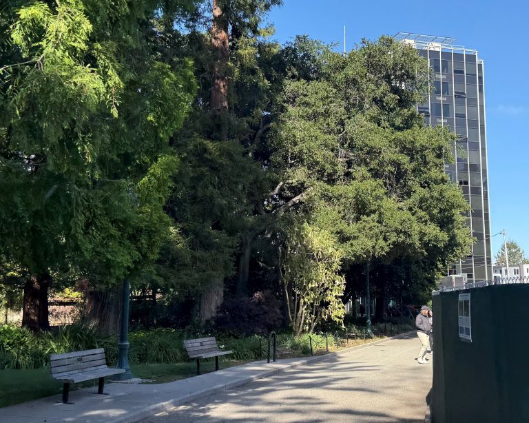A pathway with two park benches alongside dense trees, next to a large, multi-story building and a construction fence, under a clear blue sky.