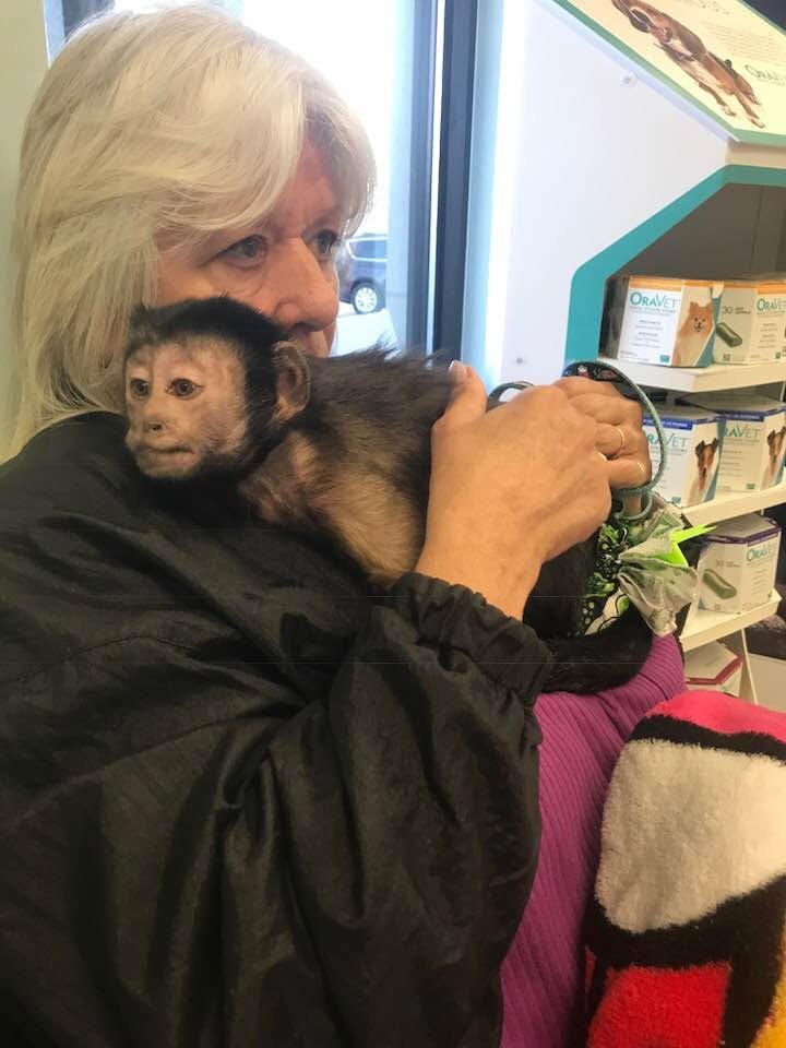 A women hugging a monkey.