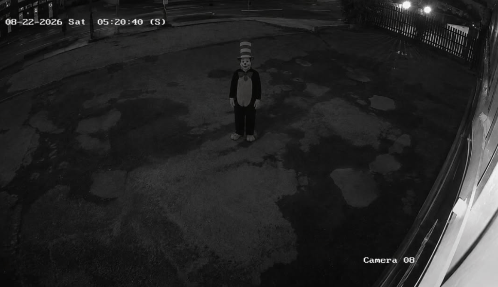 Viral Cat in the Hat stand on dark.