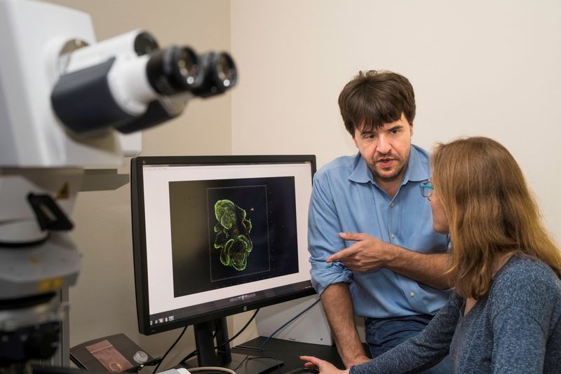 U.S. and German scientists win Nobel medicine prize for work on light and brain