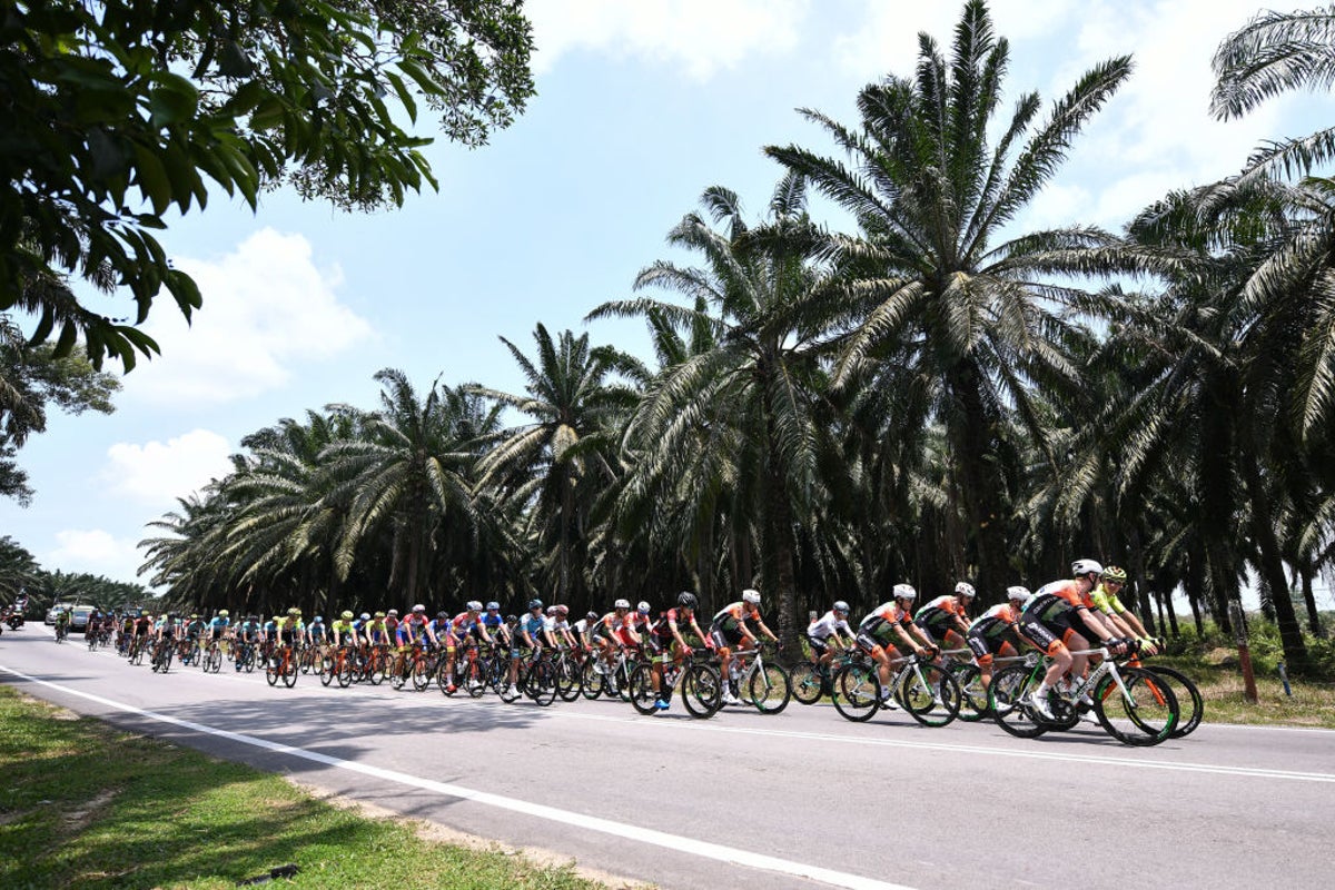 French cyclist Ronan Auge comes out of induced coma after horror crash