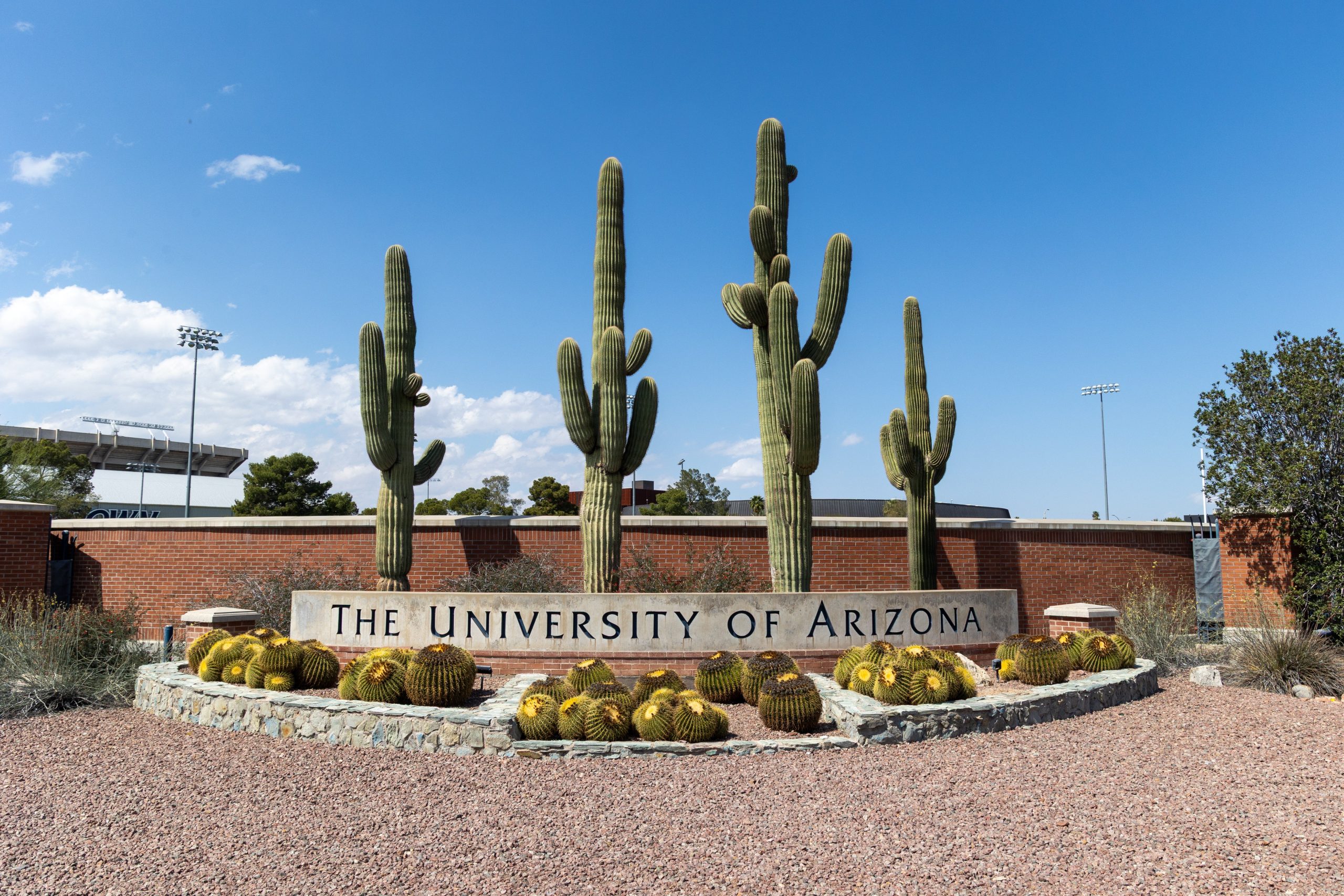 University of Arizona halts fraternity activities following ‘egregious’ misconduct allegations