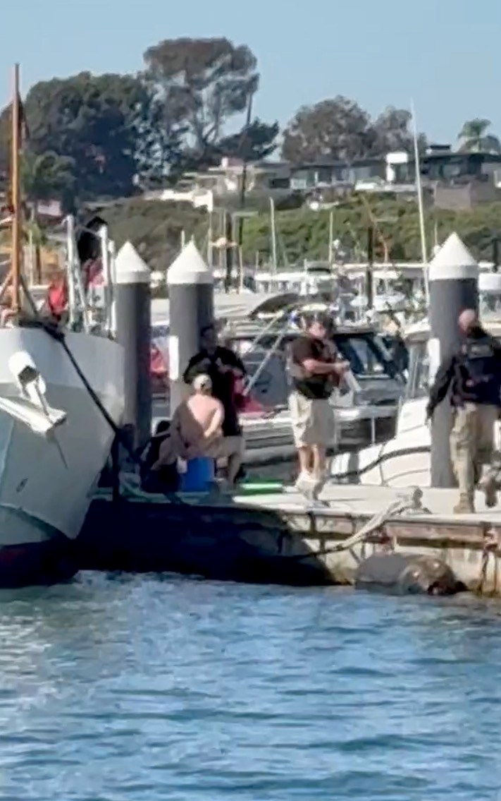 Third human smuggling boat in a month intercepted in posh Newport Harbor